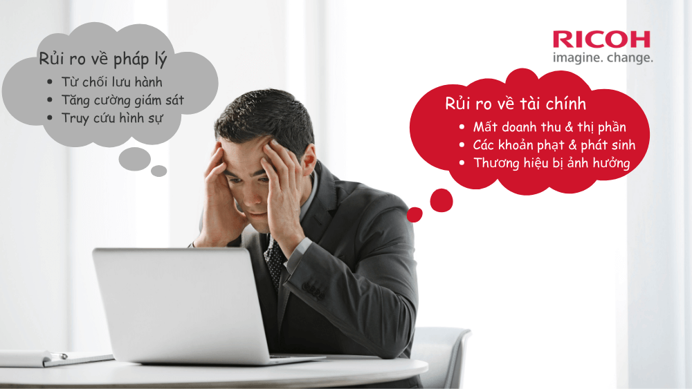Rủi ro về mặt pháp lý cho các doanh nghiệp xuất khẩu vảo EU