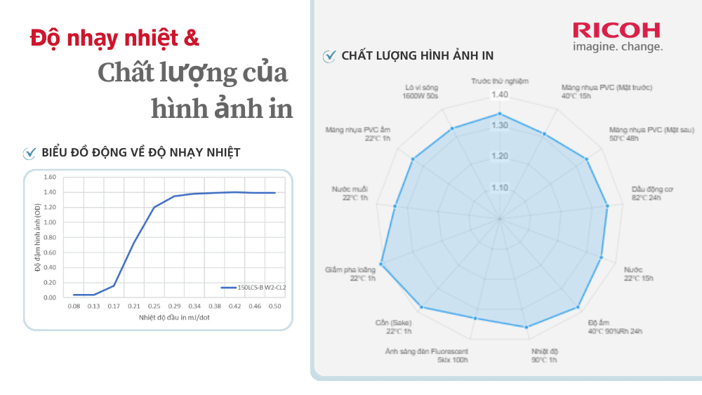 Nhãn in trực tiếp 150LCS-B W2-CL2 - Tem nhãn cho kho đông lạnh - Khả năng chịu lạnh tốt