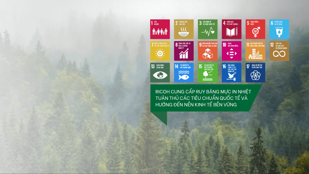 Ruy băng mực in Ricoh đảm bảo an toàn và đạt các chứng chỉ quốc tế