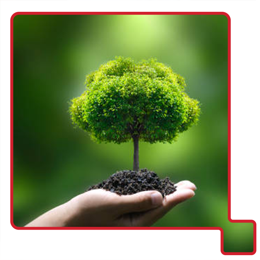 Ricoh-Vietnam-Advances-Its-ESG-Commitment-thumb