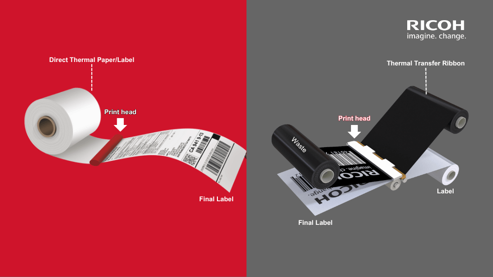 Comparison direct thermal and thermal transfer