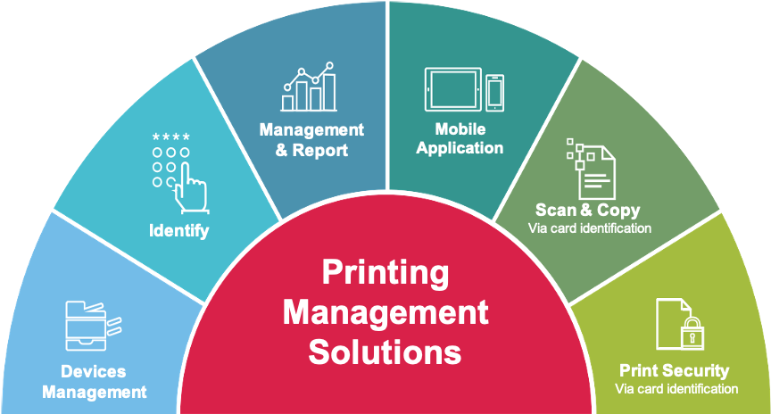 Pie chart showing Print Management Solutions from RVN