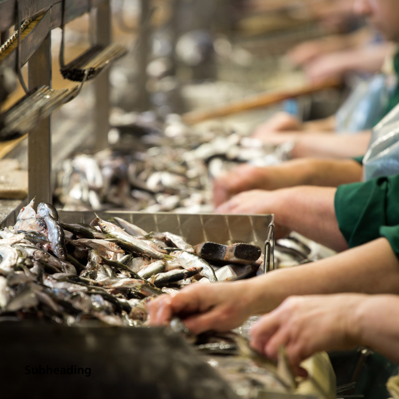 seafood processing labels webinar